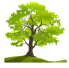 oak hill bookkeeping & tax services